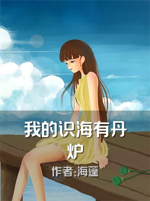 我的识海有丹炉