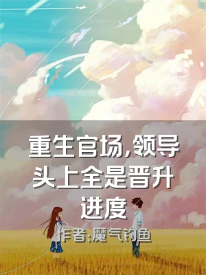 重生官场，领导头上全是晋升进度