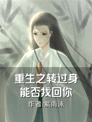 重生之转过身能否找回你
