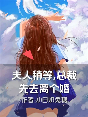 夫人稍等，总裁先去离个婚