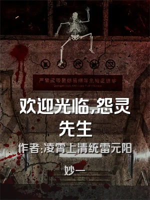 欢迎光临，怨灵先生