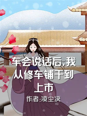 车会说话后，我从修车铺干到上市