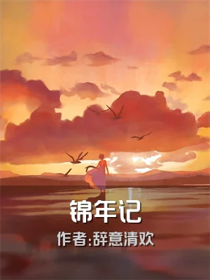 锦年记