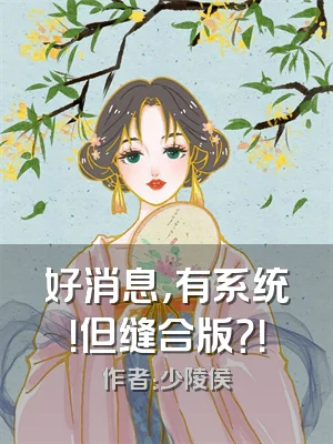 好消息，有系统！但缝合版？！