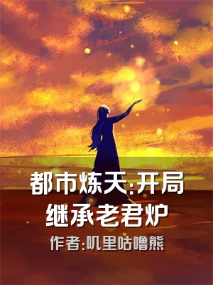 都市炼天：开局继承老君炉