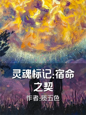 灵魂标记：宿命之契