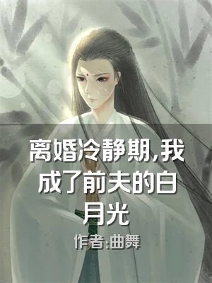 离婚冷静期，我成了前夫的白月光