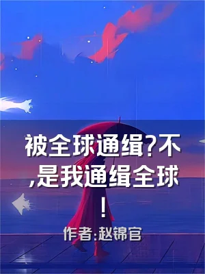 被全球通缉？不，是我通缉全球！