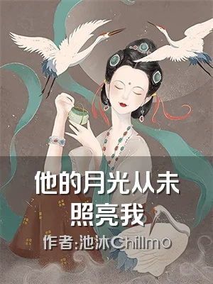 他的月光从未照亮我