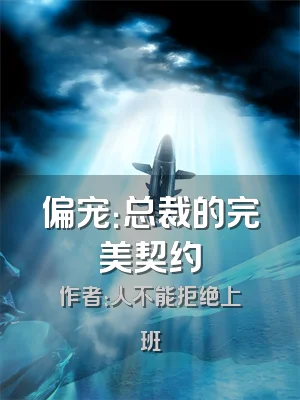 偏宠：总裁的完美契约