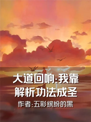 大道回响：我靠解析功法成圣