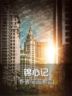 锦心记