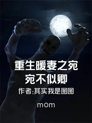 重生暖妻之宛宛不似卿