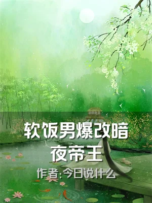 软饭男爆改暗夜帝王