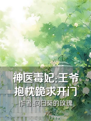神医毒妃：王爷抱枕跪求开门