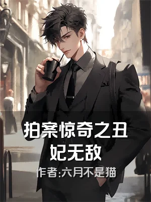 拍案惊奇之丑妃无敌