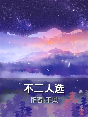 不二人选