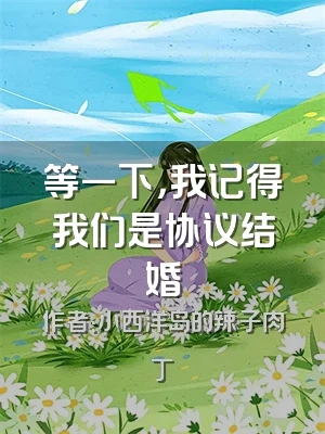 等一下，我记得我们是协议结婚