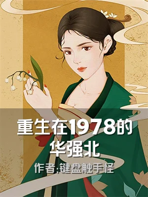 重生在1978的华强北