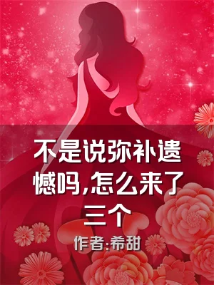 不是说弥补遗憾吗，怎么来了三个