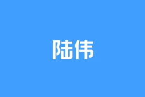 陆伟