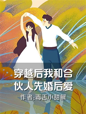 穿越后我和合伙人先婚后爱