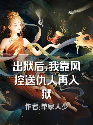 出狱后，我靠风控送仇人再入狱