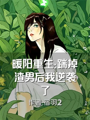 暖阳重生：踹掉渣男后我逆袭了