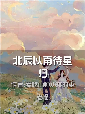 北辰以南待星归