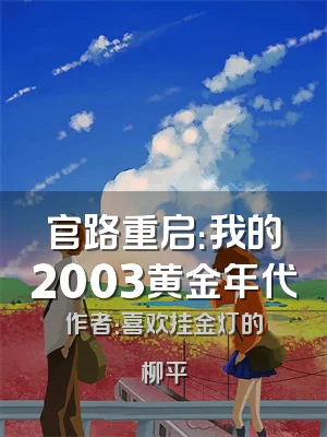 官路重启：我的2003黄金年代