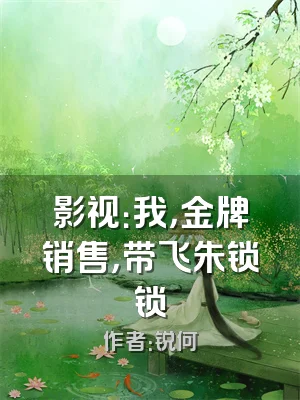 影视：我，金牌销售，带飞朱锁锁