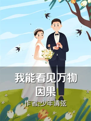 我能看见万物因果