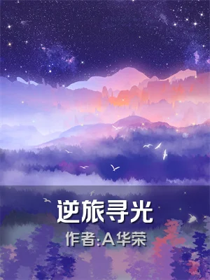 逆旅寻光