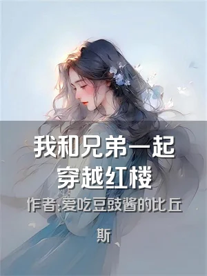 我和兄弟一起穿越红楼