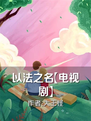 以法之名【电视剧】