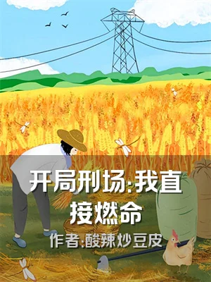 开局刑场：我直接燃命