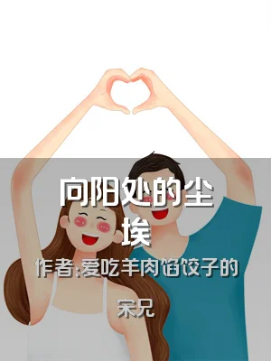 向阳处的尘埃