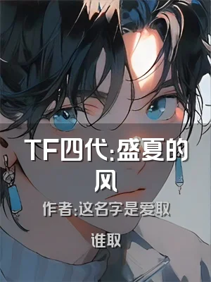 TF四代：盛夏的风