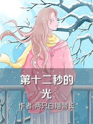 第十二秒的光
