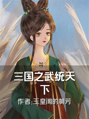 三国之武统天下