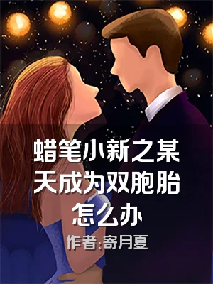 蜡笔小新之某天成为双胞胎怎么办