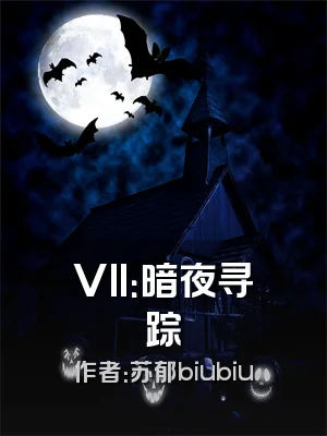 VII：暗夜寻踪