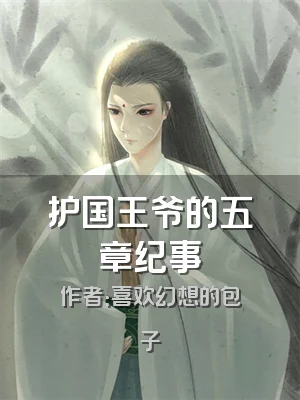 护国王爷的五章纪事