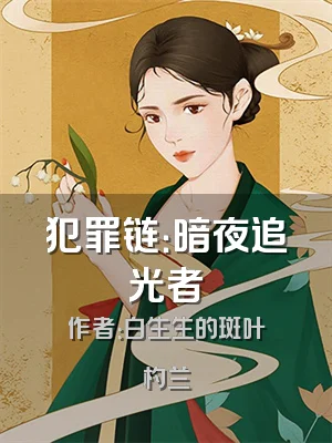 犯罪链：暗夜追光者