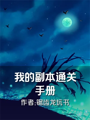 我的副本通关手册