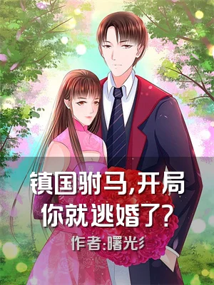 镇国驸马，开局你就逃婚了？