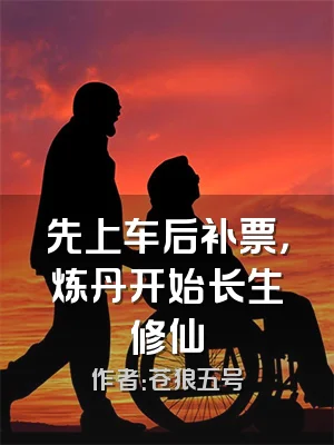 先上车后补票，炼丹开始长生修仙