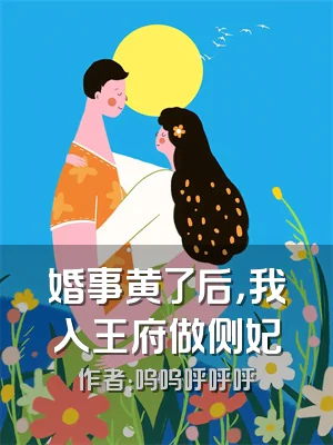 婚事黄了后，我入王府做侧妃
