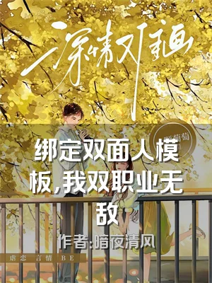 绑定双面人模板，我双职业无敌