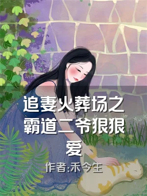 追妻火葬场之霸道二爷狠狠爱